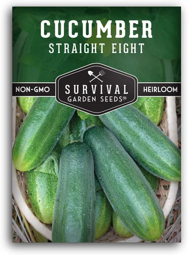 Straight Eight Semillas de pepino para plantar | Reliquia clásica de rebanar con piel suave - Semillas de jardín de supervivencia (paquete de 1)