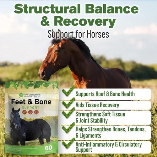 Miniatura 2 de Silver Lining Herbs Suplemento para pies y huesos para caballos en polvo, tendones naturales, ligamentos y tejidos circundantes y suplemento