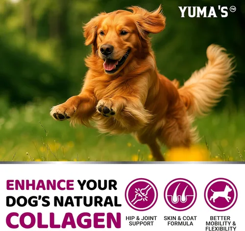 Miniatura 4 de YUMA'S Colágeno avanzado para perros – 170 masticables – Suplemento de cadera y articulaciones – Péptidos de colágeno múltiple – Salud de la piel