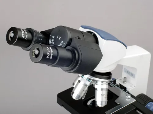 Miniatura 5 de AmScope B120B-E - Microscopio compuesto binocular Siedentopf digital, aumento 40X-2000X, campo brillante, iluminación LED, condensador Abbe, etapa
