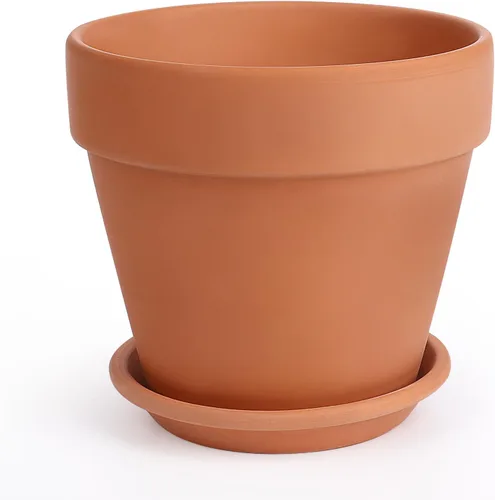 Miniatura 13 de INGOFIN Macetas de terracota de 4 pulgadas con platillos, paquete de 8 macetas de arcilla poco profunda con agujeros de drenaje para suculentas