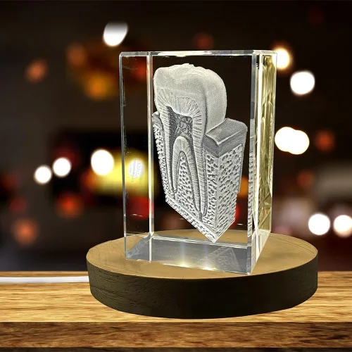 Tooth are | Recuerdo de cristal grabado en 3D | Regalo para dentista | Coleccionable | Recuerdo | Regalo personalizado de fotos de cristal 3D |