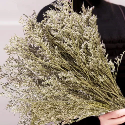 Ramo de limonio natural preservado, más de 25 tallos de caspia bellidifolio fresco real, lavanda de mar, flores de aliento de bebé, para boda,