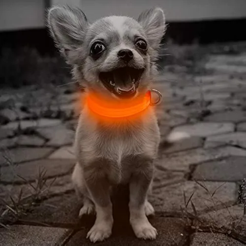 Miniatura 8 de Candofly Collar de perro con luz para cachorros, collar de perro LED recargable por USB para perros pequeños y gatos caminatas nocturnas (XS, rosa)