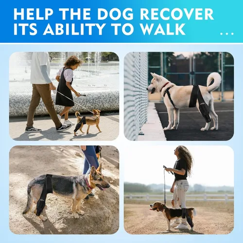 Miniatura 4 de Rodillera negra para perro para pierna trasera, soporte ajustable para piernas de perro, pierna trasera para aliviar el dolor en las articulaciones