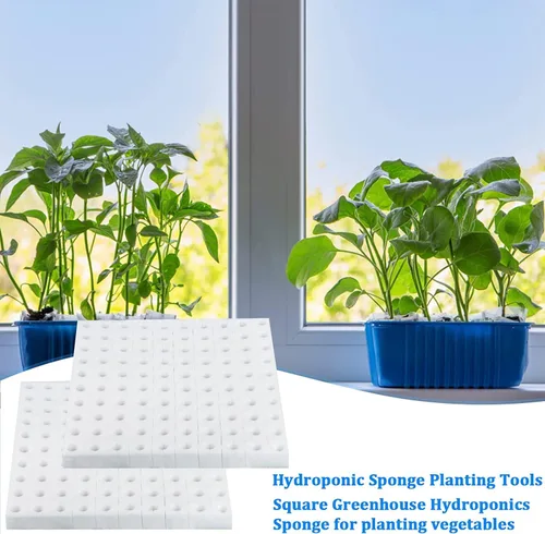 Miniatura 7 de 600 esponjas hidropónicas, herramienta de jardinería, cultivo sin suelo, esponjas de plántulas, esponja de cultivo invernadero para crecimiento