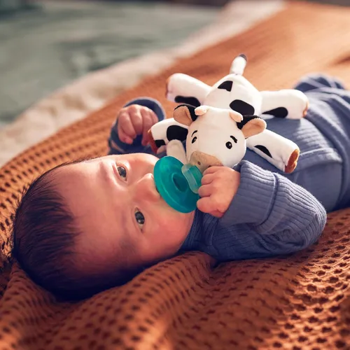 Miniatura 8 de Philips Avent Soothie Snuggle Portachupetes con Chupete Desmontable, 0m+, Vaca, SCF347/05