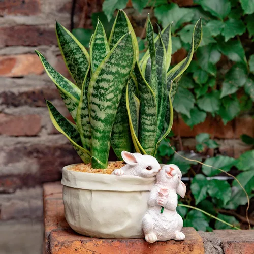 Miniatura 4 de Maceta de conejo para suculentas, macetas de jardín, maceta decorativa de conejo, macetas de dibujos animados en forma de animal, decoración