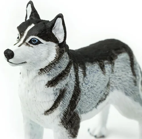 Miniatura 2 de Safari Ltd. Figura de Husky Siberiano – Figura detallada de plástico de 3.25 pulgadas – Divertido juguete educativo para niños, niñas y niños a