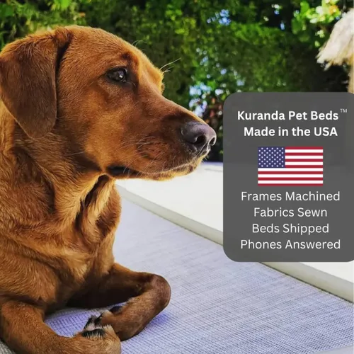 Miniatura 8 de Kuranda Cama elevada para mascotas a prueba de masticación - PVC almendra - 25" x 18" - Cordura Nylon - Borgoña