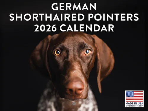 Miniatura 76 de Calendario de pared mensual 2025 Great Dane de 12 meses, fabricado en Estados Unidos