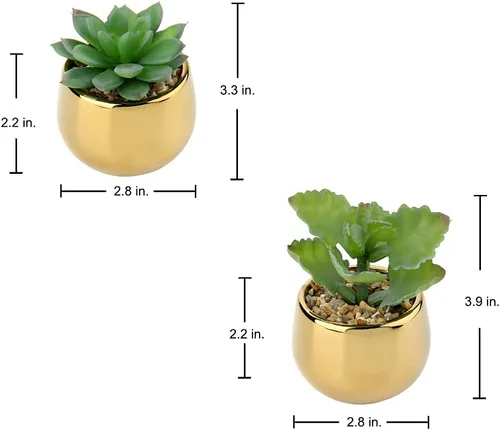 Miniatura 7 de Briful Pequeñas suculentas artificiales en macetas, juego de 2 plantas suculentas realistas con macetas de cerámica doradas, lindas mini plantas