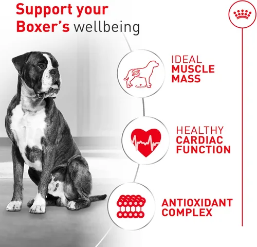 Miniatura 5 de Royal Canin Breed Health Nutrition Boxer - Alimento seco para perros adultos, bolsa de 17 libras