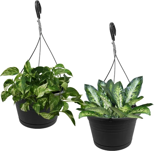 Macetas colgantes europeas de 10 pulgadas para plantas de interior, 2 piezas de 10 pulgadas con (2) ganchos de 15.7 pulgadas, macetas colgantes de