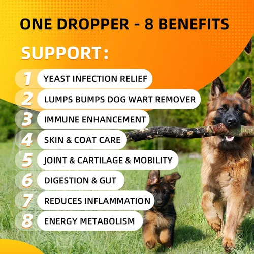 Miniatura 2 de Hongo de cola de pavo para perros - Multiviatmins y suplemento de hongos para el sistema inmunológico y digestivo del perro, removedor