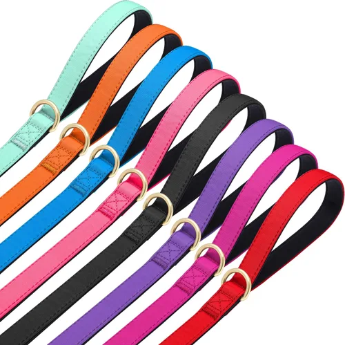 Miniatura 6 de Didog Correa para perro de nailon colorido de 5 pies con acolchado suave de longitud completa, ligera y duradera para perros pequeños, negro, S