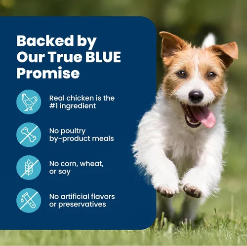 Miniatura 6 de Blue Buffalo Life Protection Formula Peso Saludable Alimento Seco Natural para Perros de Raza Pequeña, Apoya un Peso Ideal, Hecho con Ingredientes