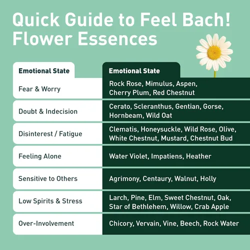 Miniatura 5 de Feel Bach! Flower Essence cuentagotas de agua, violeta, 0.7 fl oz, 0.7 fl oz