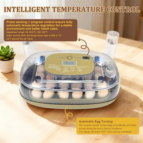 Miniatura 6 de Incubadora de 24 huevos para incubar con girador automático, control inteligente de temperatura y humedad, visualización 360°, ovoscopio, recarga