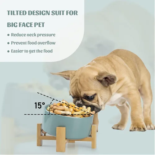 Miniatura 2 de SPUNKYJUNKY Cuenco de cerámica inclinado en 15° para perros y gatos con soporte de madera, cuenco inclinado para comida y agua para bulldog, Verde