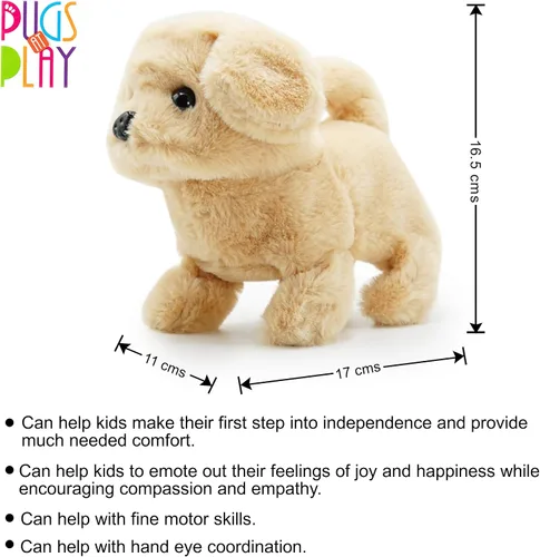 Miniatura 3 de Daron Pugs at Play Goldie Walking Dog (PAP05)