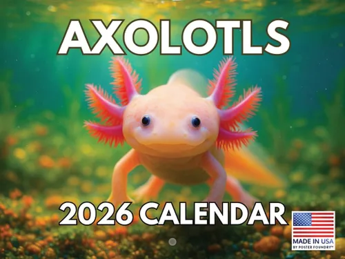 Miniatura 31 de Calendario alpaca 2026, calendario mensual de pared de 12 meses Hecho en Estados Unidos.