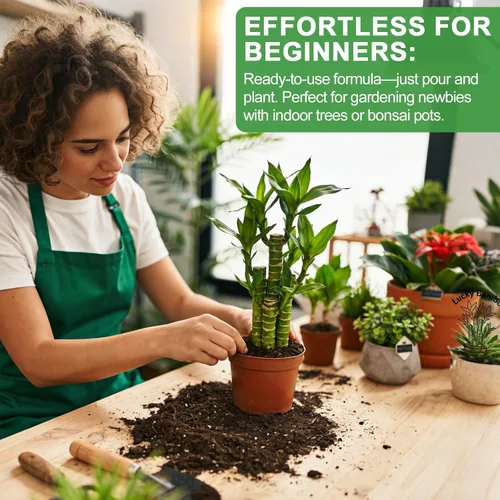 Miniatura 6 de Suelo natural puro para macetas para plantas de bambú de la suerte, 1 cuarto de galón, drenaje superior y transpirabilidad, suelo ideal para plantas
