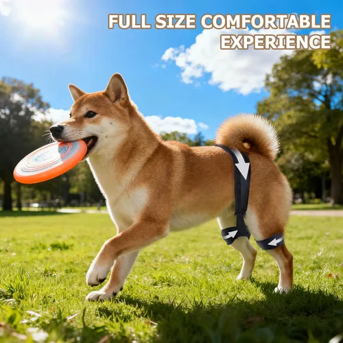 Miniatura 6 de Soporte de cadera para perro para displasia de cadera, soporte ajustable de cadera para perro con compresión específica, estabiliza