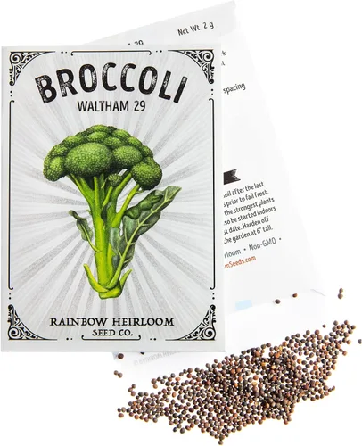 Miniatura 3 de Semillas de brócoli para plantar Variedad Waltham 29 (paquete de 0.07 oz - aproximadamente 630 semillas) Semillas sin OMG y reliquia Paquete