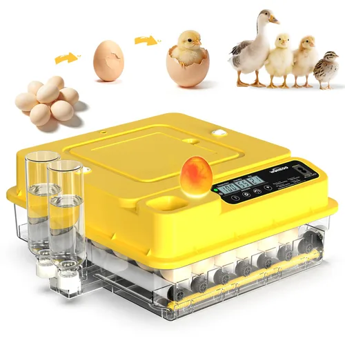 Miniatura 8 de Incubadoras para huevos para incubar huevos para granja de laboratorio con giro automático de huevos para pollo, patos, ganso, codorniz, 48 huevos
