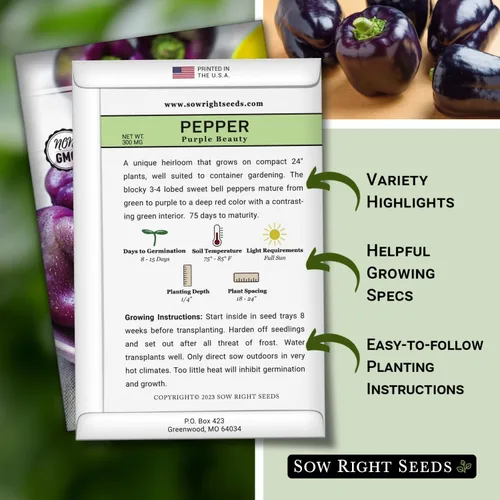 Miniatura 2 de Sow Right Seeds - Semillas de pimiento Purple Beauty para plantar - Paquete de reliquia sin OMG con instrucciones para plantar y cultivar un huerto