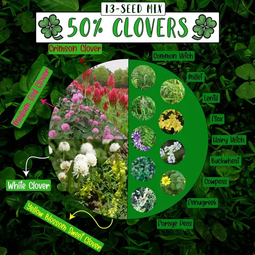 Miniatura 2 de No-Till Cover Crop 13 semillas mezcla (1 libra) Bolso: 50% tréboles plus, fenogreco, arvejas, Lino, Guisantes, Trigo Sarraceno, Guisantes