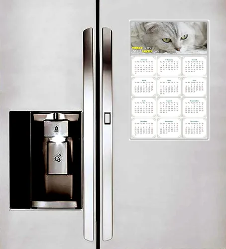 Miniatura 4 de Calendario magnético 2025 – Imanes del calendario – Today is my Lucky Day – Resistente a la decoloración, desgarros y agua – Temática de gato 1