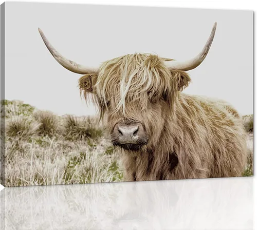 Miniatura 9 de Póster moderno de pared de vaca de las tierras altas, póster impreso en lienzo alpino desierto, decoración de pared de animales para sala de estar