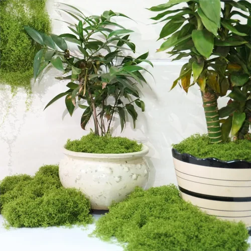 Miniatura 2 de Jabrand Musgo falso para plantas, musgo artificial de 5 onzas para manualidades, centros de mesa, plantas en macetas para interiores y exteriores