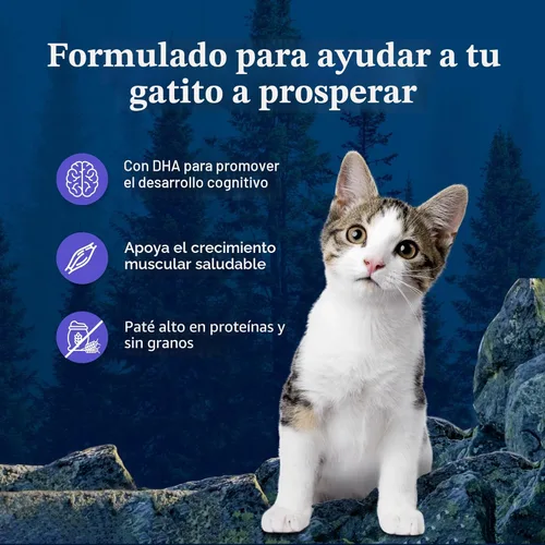 Miniatura 5 de Blue Buffalo Wilderness - Comida para gatitos, paquete variado de paté de comida húmeda para gatos con alto contenido de proteínas y sin granos