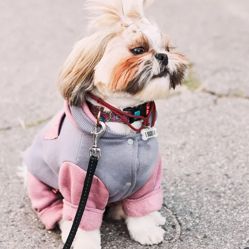 Miniatura 5 de Etiqueta para mascotas con código QR - ID de perro de servicio, ESA, etiquetas de nombre de apoyo emocional (hueso)