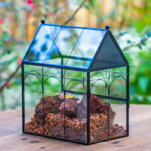 Miniatura 9 de NCYP Recinto de vidrio con orificios de ventilación para insectos, arañas saltadoras, 7.5 x 4.9 x 9 pulgadas, pequeña puerta cerrada de apertura