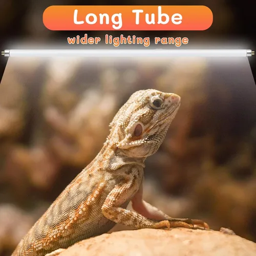 Miniatura 8 de T5 UVB - Luz de reptil de 24 W 10.0, bombilla UVA UVB para reptiles, paquete de 2 tubos de lámpara UVB para reptiles para dragón barbudo