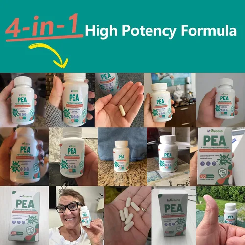 Miniatura 5 de inGreens Palmitoiletanolamida 4 en 1 de alta potencia, suplemento de guisante de 700 mg para hombres y mujeres, fabricado en Estados Unidos, 60