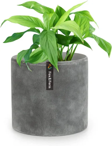 Macetas de Fox & Fern – Ajuste perfecto a mediados del siglo moderno soporte para plantas – tapón de drenaje
