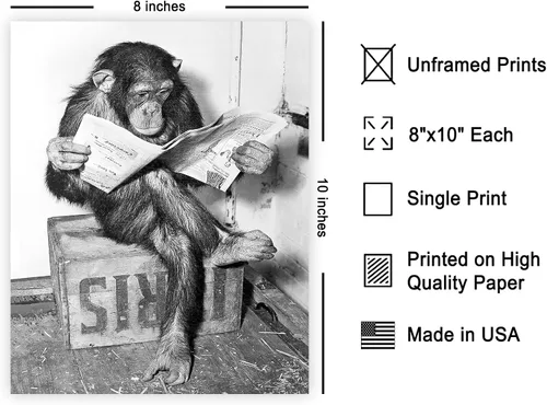 Miniatura 2 de Poster Master Póster de Chimpancé - Impresión de Mono Leyendo Periódico - Arte de Pared de Mono - Regalo para Hombres, Mujeres y Amantes