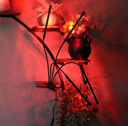 Miniatura 2 de Luz de cultivo de plantas, espectro completo de 6000 K con LED rojos y blancos ajustables, atenuación de 10 niveles, lámpara de clip alimentada por