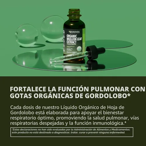 Miniatura 4 de Gotas de gordolobo para pulmones – Extracto orgánico de hoja de gordolobo USDA – Suplemento de salud respiratoria y apoyo pulmonar – 2 onzas