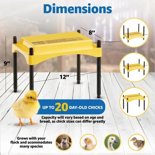 Miniatura 10 de Brinsea Ecoglow Safety 600 - Plato para criar hasta 20 pollitos - Placa térmica de 12 W de eficiencia energética para patitos y aves de corral