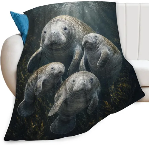 Miniatura 36 de Manta de mariposa colorida de forro polar, súper suave, acogedora y cálida, manta de felpa, regalos para niños y mujeres, 40 x 50 pulgadas
