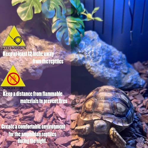 Miniatura 5 de Lámpara de calor de reptil de 75 W, bombilla de calor nocturno simulada naturaleza luz de luna, bombillas moradas, anfibios para foco de luz de sol