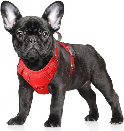 Miniatura 28 de BARKBAY Arnés para Perro Sin Tirones Talla Grande Arnés Reflectante para Perro con Clip Frontal y Asa de Control Fácil para Caminar Entrenar Correr