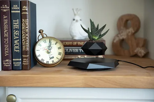 Miniatura 6 de BandDlevs Macetas flotantes para plantas - Maceta levitante - Maceta levitadora para bonsái, suculentas, plantas de aire - Exhibidor magnético