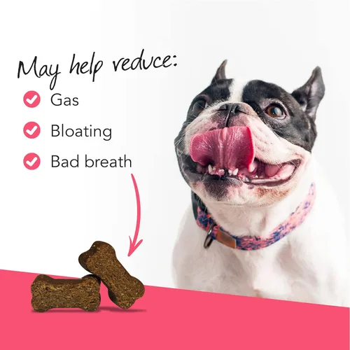 Miniatura 3 de VetriScience Gomitas para la Salud Intestinal, Suplemento Digestivo Probiótico Diario para Perros, Probióticos para Mascotas para el Apoyo